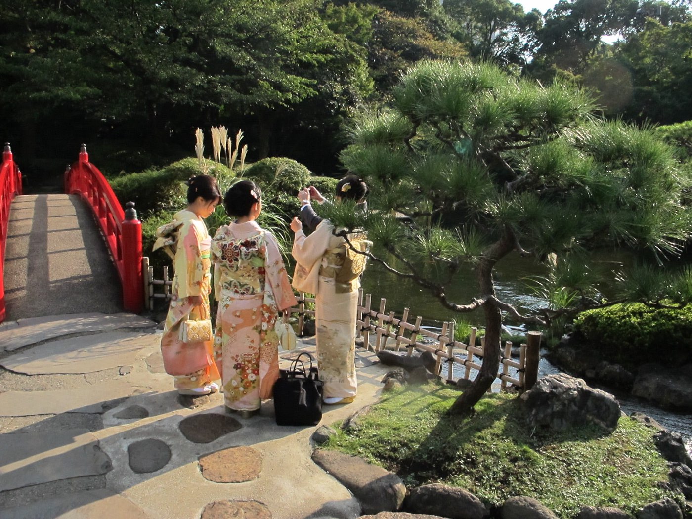 Garden in Tokyo, Japan