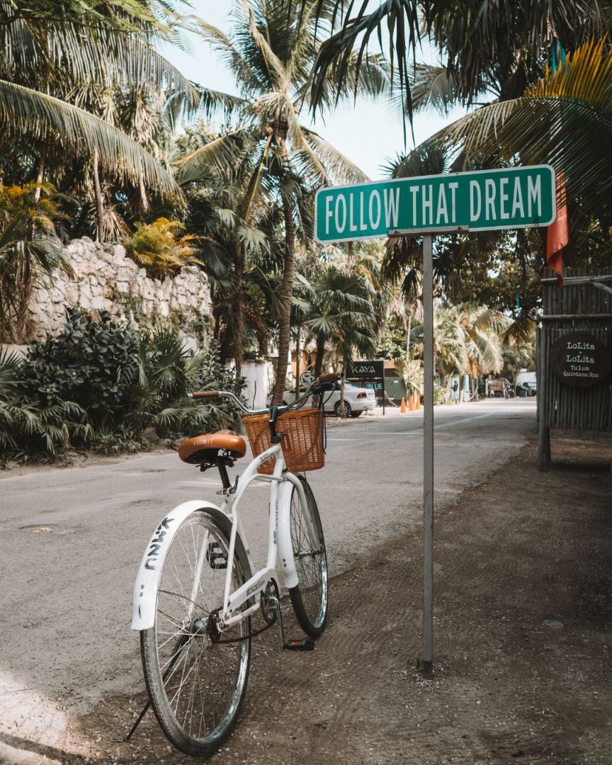 a white bike with a brown seat and wicker basket on the handle bars sits parked on a palm tree lined seat next to a green road sign saying follow that dream