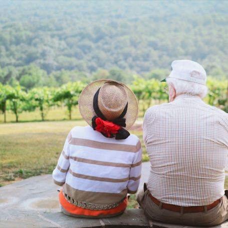Older Couple Resting Vineyard View